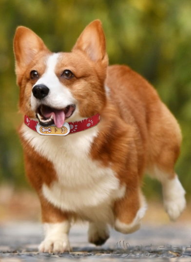 無線通信方案廠商