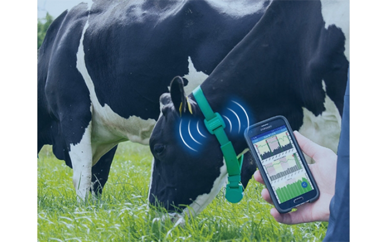 畜牧養殖業中的無線物聯網技術應用