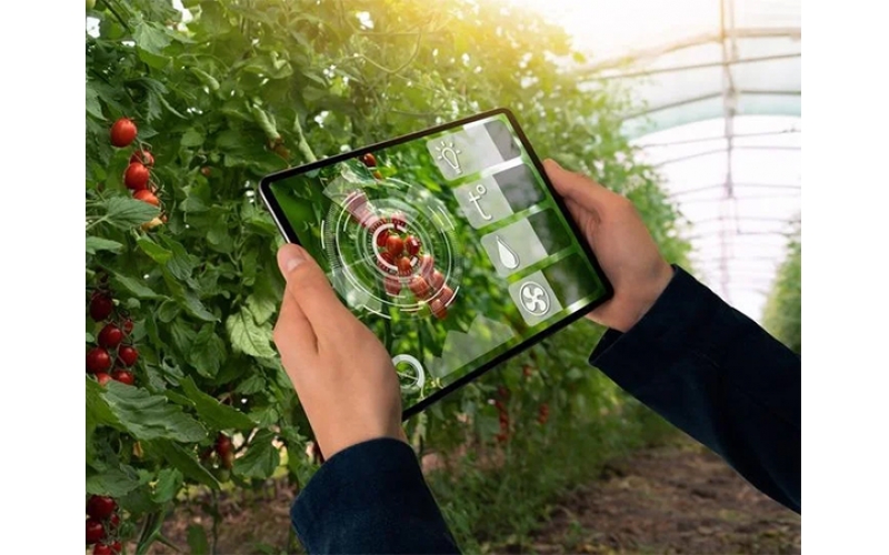 信馳達推出LoRaMESH智慧果園方案，多種傳感器迅速組網，節點網關實時采集果園數據